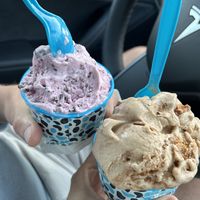   at Holy Cow Ice Cream Cafe in Gloucester