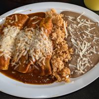 Jackfruit birria enchiladas plate at Mamicon's Vegan Mexican Restaurant in Northridge