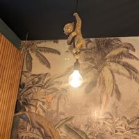 Monkey on light at Ahimsa in Munich