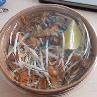 Pad thai ask for no eggs at Handa in Padua