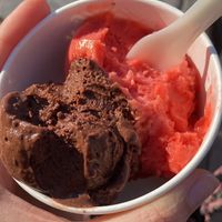   at Goldhelm in Erfurt