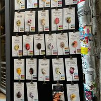  at Goldhelm in Erfurt