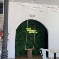 Pleasing visual vibe  at Bioloco in Madrid