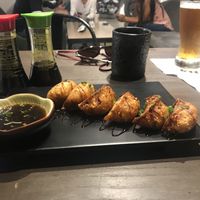 Gyoza at Rock and Rolls Vegan Sushi in Panama City