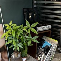   at O.verte Donuts 오베흐트 도넛 in Seoul