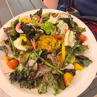 Rainforest Salad at Mother Earth Vegan Restaurant in Tamarindo