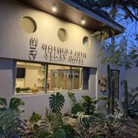   at Mother Earth Vegan Restaurant in Tamarindo
