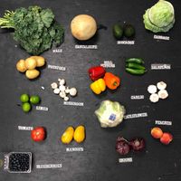 Only $18!! at The Produce Project in Raleigh