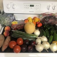   at The Produce Project in Raleigh