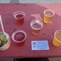 Kombucha flight and vegan matcha gelato at Cultured South Fermentation Co in Atlanta