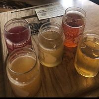 Kombucha flight at Cultured South Fermentation Co in Atlanta
