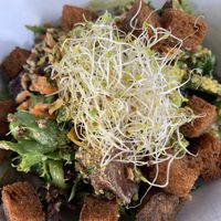 Sacrum Salad at The Yoga Chef Cafe & Meal Prep in Port Coquitlam