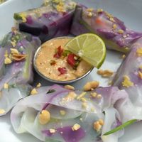 Summer rolls at Sage in Belfast