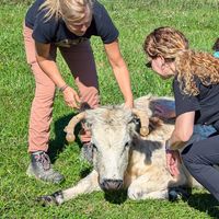  at Veg Society of DC in Washington