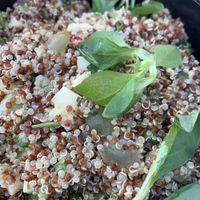 Quinoa salad on a bed of spinach with grape and veggies at Alpino in Paleo Faliro
