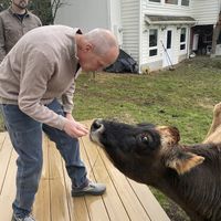 Love this  at Ballydidean Farm Sanctuary in Clinton