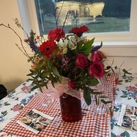 Valentines flowers we got to arrange and take home.  at Ballydidean Farm Sanctuary in Clinton