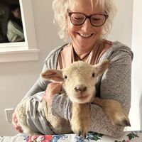 Love this  at Ballydidean Farm Sanctuary in Clinton