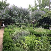 A beautiful bride in the surrounding butterfly bushes  at Rosie's Coffee & Wine Garden in Charlotte