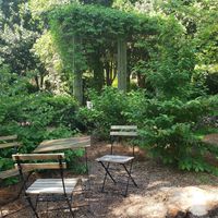  at Rosie's Coffee & Wine Garden in Charlotte