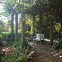  at Rosie's Coffee & Wine Garden in Charlotte