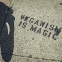 photo found on Fat Tony's website in Vegan Pizza section at Fat Tony's Pizza in Whistler