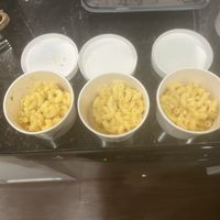   at Red Bamboo in New York City