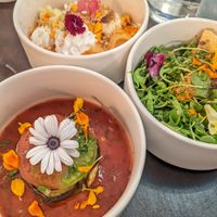 vegan options at O-Berny in Lyon