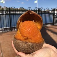 Miami fruit at Miami Fruit in Miami