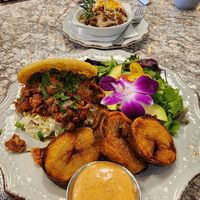  at Harvest Kitchen & Bakery in Katy