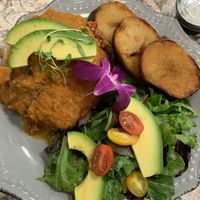   at Harvest Kitchen & Bakery in Katy