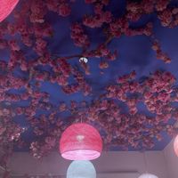   at Okashi Sanda in Madrid