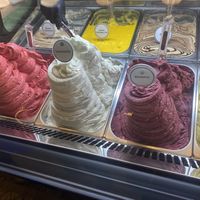 Vegan flavours   at Anita La Mamma Del Gelato in New York City