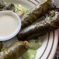 Stuffed grape leaves  at Jerusalem in Denver