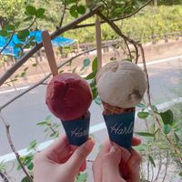 vegan mix berry; vegan coconut&maple cookie at Harlow Ice Cream in Tokyo