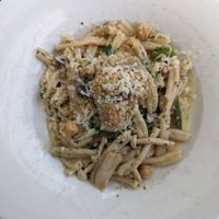 Vegan Cassarache at 8 at Trinity in Morisset Park