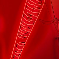  at Burger Fiancé in Montreal