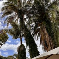 Beautiful setting close to seafront    at Hone's Garden in Northland