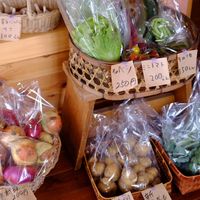 Local Organic Veggies for sale at Wara Farm わらふぁーむ in Goshogawara