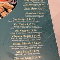 Lots of vegan options   at Discovery Indian Cuisine in Palm Harbor