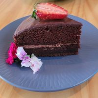  at Bosque Urbano in San Jose