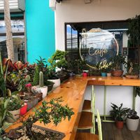  at Bosque Urbano in San Jose