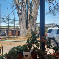  at Bosque Urbano in San Jose