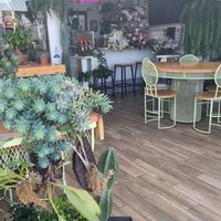  at Bosque Urbano in San Jose