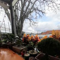 The trees in this urban place at Bosque Urbano in San Jose