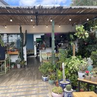 Such a lovely location - welcoming and an oasis of calm  at Bosque Urbano in San Jose