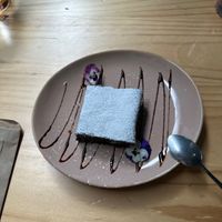 Brownie  at Bosque Urbano in San Jose