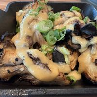 MAGIC MUSHROOMS V 🌱 grilled maitake mushrooms, miso-garlic dressing, scallion  at Flamingo's Lazeaway Club in Santa Rosa