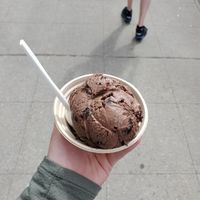Vegan icecream at Wild Scoops - Downtown in Anchorage