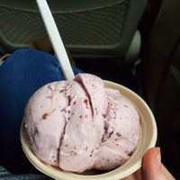 Vegan icecream at Wild Scoops - Downtown in Anchorage